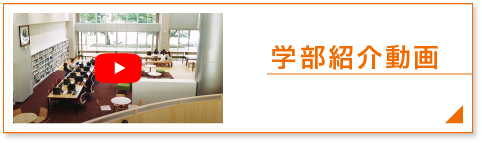 学部紹介